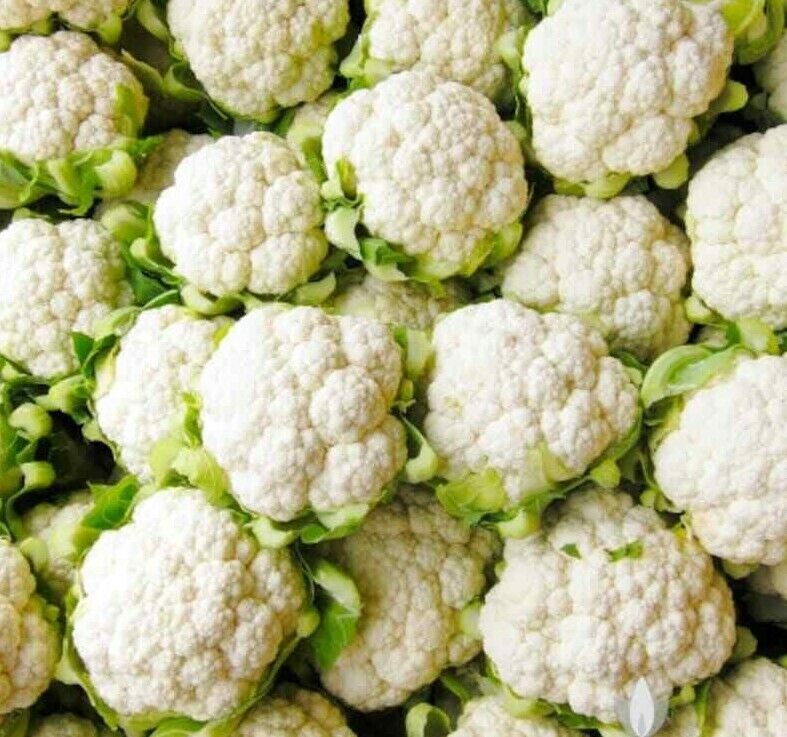 300+ Cauliflower Snowball Y Improved Garden NON-GMO Vegetable Seeds | www.seedsplantworld.com