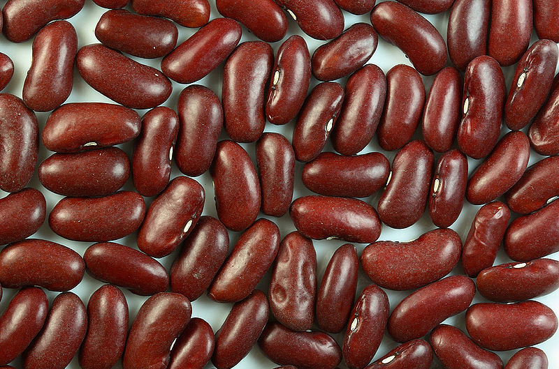 50 Charlevois Dark Red Kidney Bean Chili Baked Phaseolus Vulgaris Vegetable Seeds | www.seedsplantworld.com