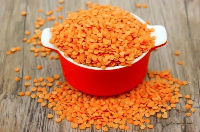 100 Red Lentil Lens Culinaris Vegetable Seeds | www.seedsplantworld.com