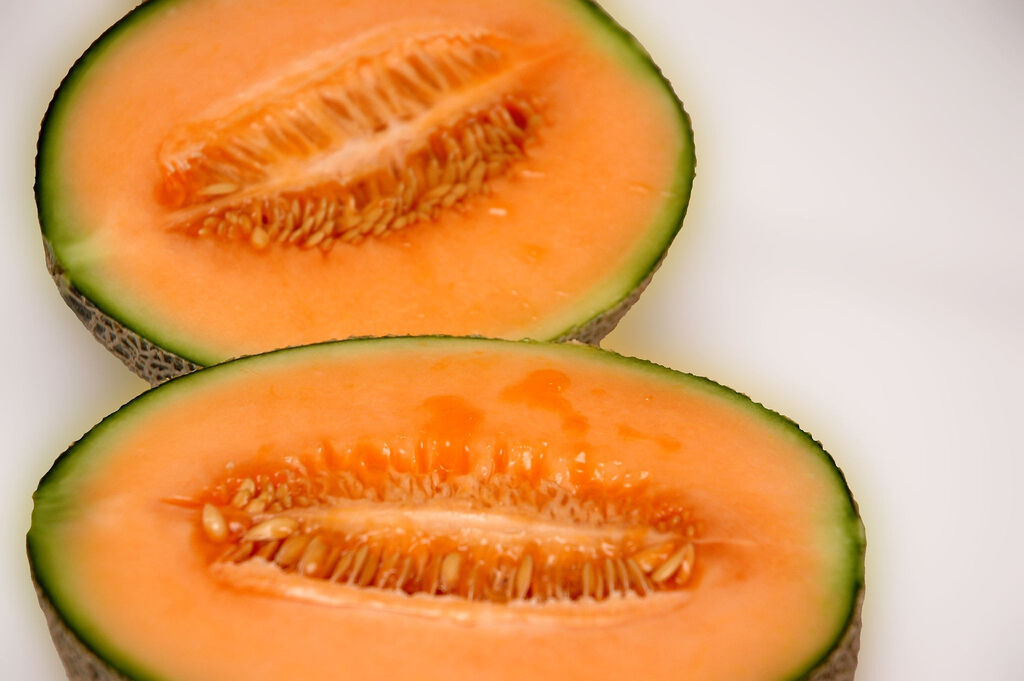 40 Melon Iroquois Muskmelon Cantaloupe Vegetable Seeds | www.seedsplantworld.com