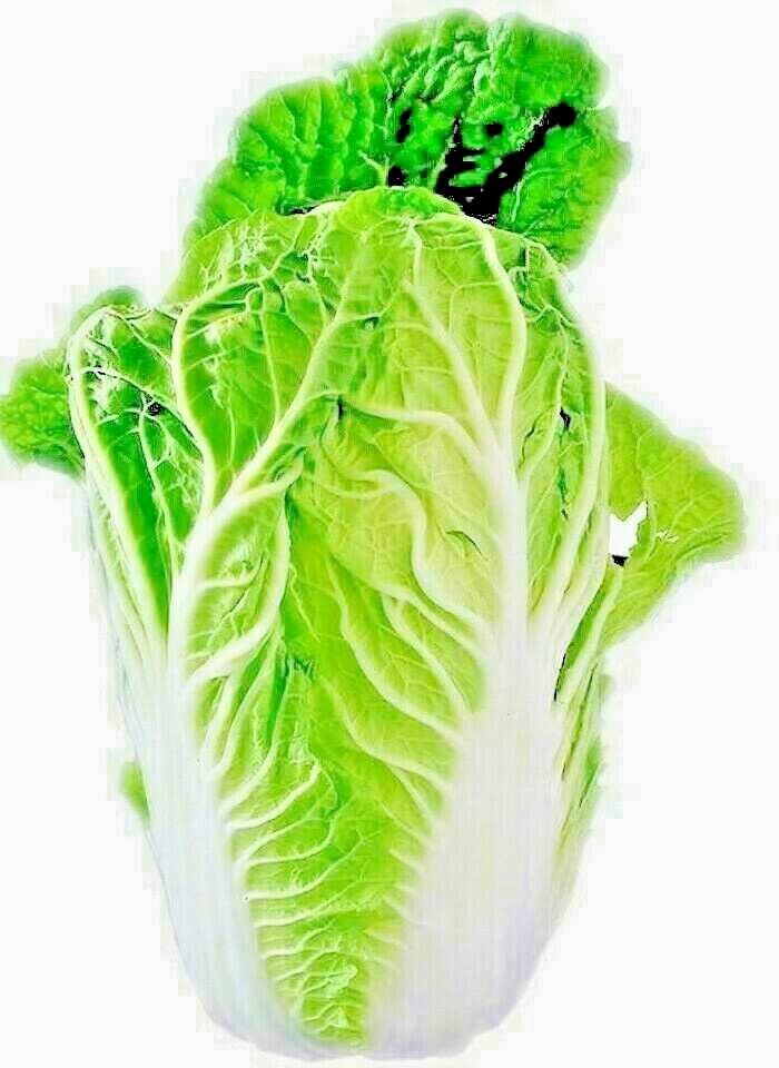 100 Chinese Cabbage Vegetable Seeds | www.seedsplantworld.com