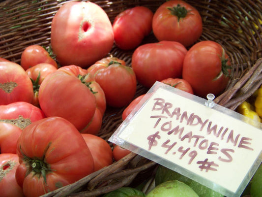 35 Tomato Brandywine Heirloom Vegetable Seeds | www.seedsplantworld.com