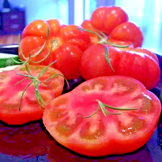 75 Marmande Giant Beefsteak Rare French Tomato Huge Heirloom Non-Gmo Vegetable Seeds | www.seedsplantworld.com