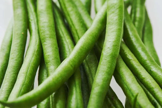 20 Bean Kentucky Wonder Pole Bean Vegetable Seeds | www.seedsplantworld.com