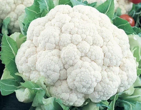 400 Cauliflower Seeds (Self Blanching) Non-Gmo Heirloom Vegetable Seeds | www.seedsplantworld.com