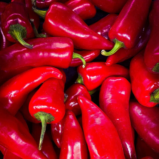 25+ Fresno Chili Hot Pepper Garden NON-GMO Heirloom Vegetable Seeds | www.seedsplantworld.com