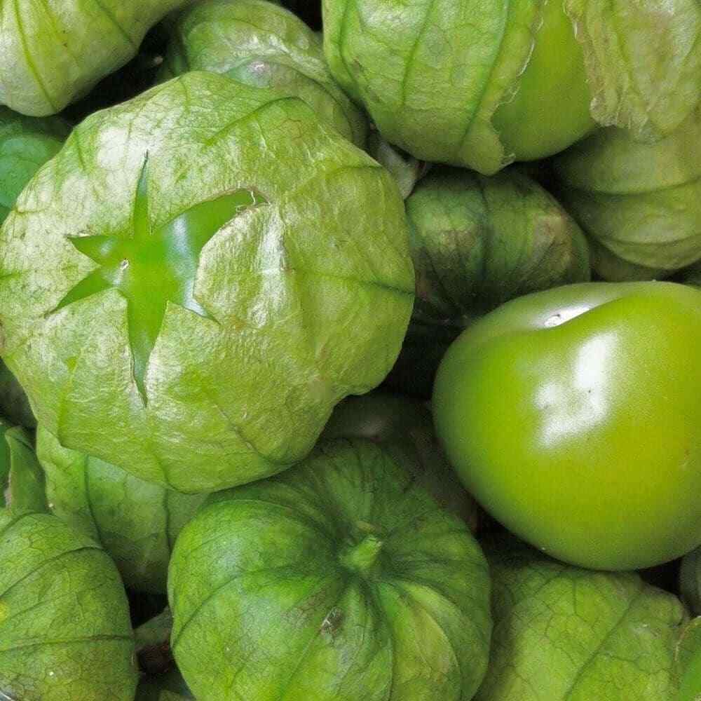 50 Ct Grande Rio Verde Tomatillo Heirloom Vegetable Seeds | www.seedsplantworld.com