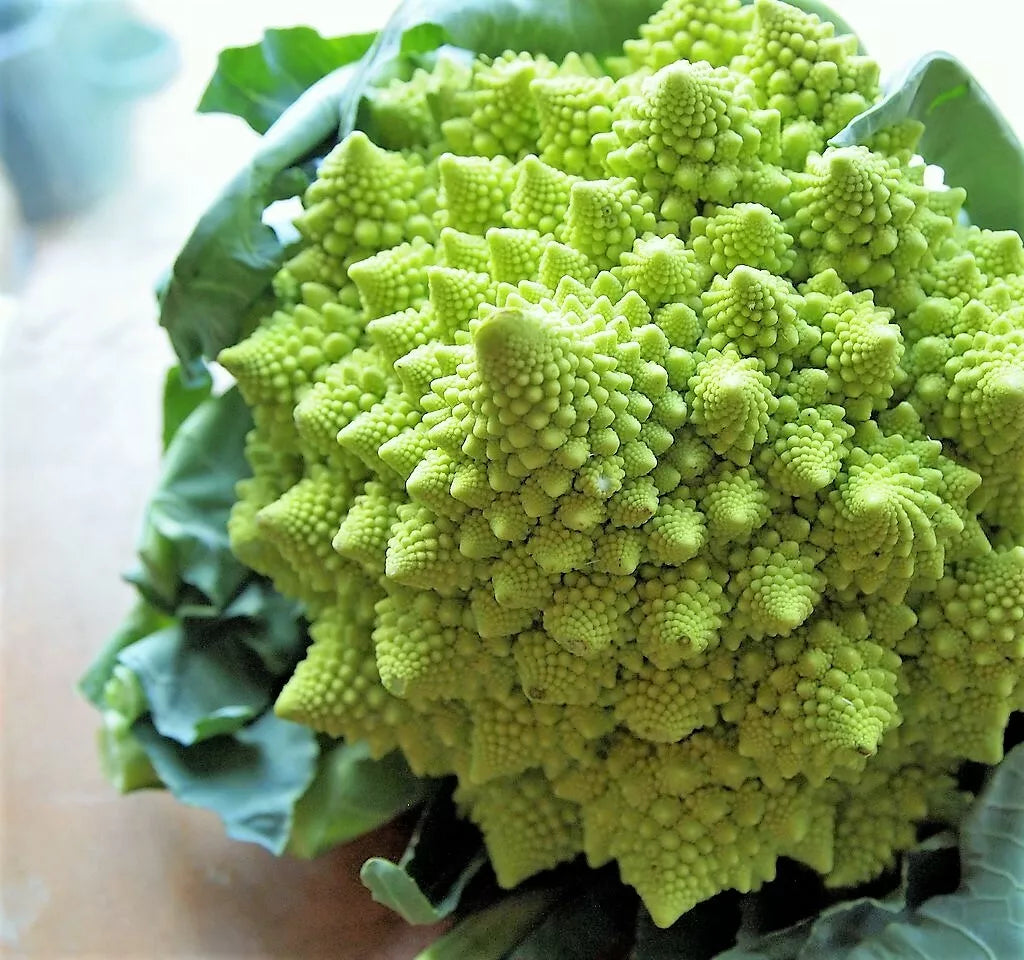 500 Romanesco Broccoli Broccoflower Cauliflower Brassica Vegetable Seeds | www.seedsplantworld.com