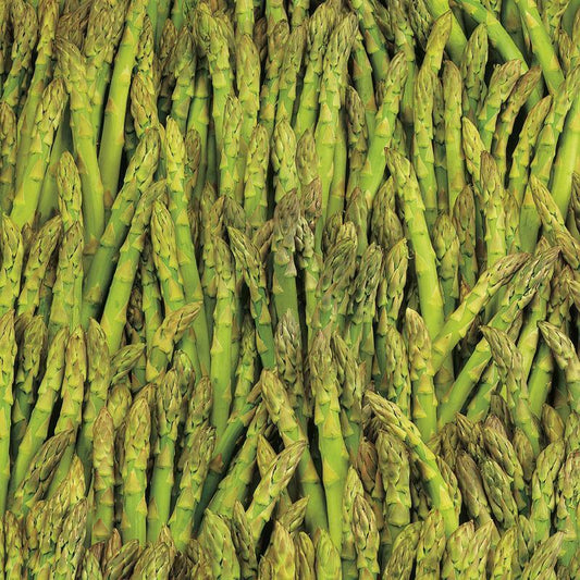 100+ Asparagus Mary Washington Garden NON-GMO Vegetable Seeds | www.seedsplantworld.com