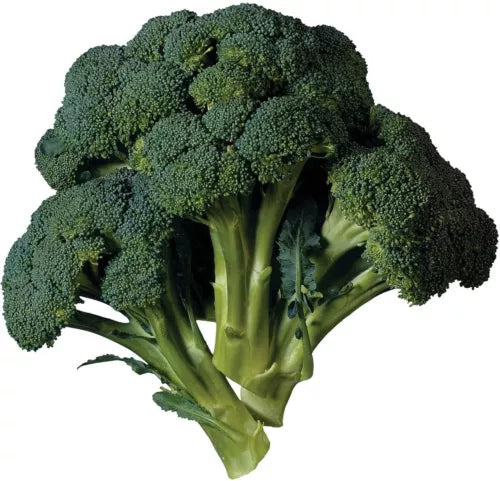 15 Broccoli Vegetable Seeds For Planting | www.seedsplantworld.com