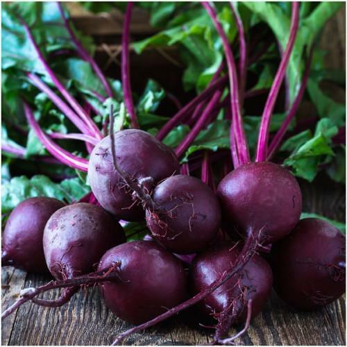 100 Ct Beet Early Wonder Tall Top Garden NON-GMO Vegetable Seeds | www.seedsplantworld.com