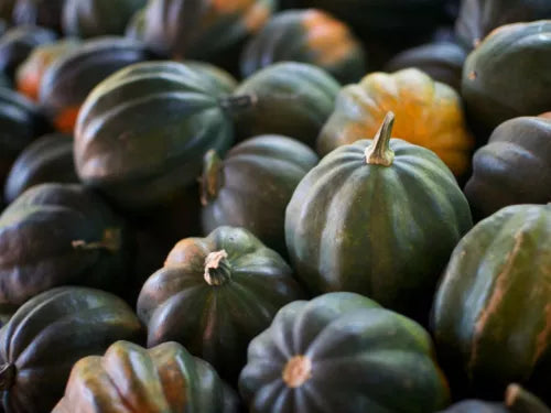 5 Acorn Squash Vegetable Seeds For Planting | www.seedsplantworld.com