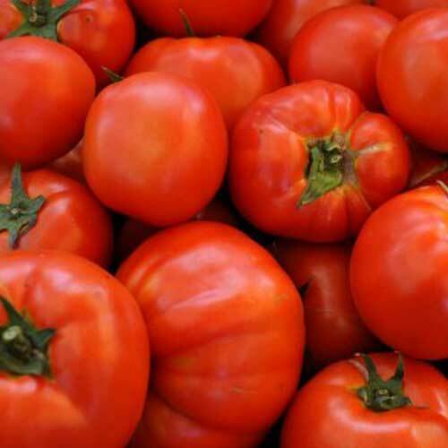 100 Ct Beefsteak Tomato Garden Heirloom NON-GMO Vegetable Seeds | www.seedsplantworld.com