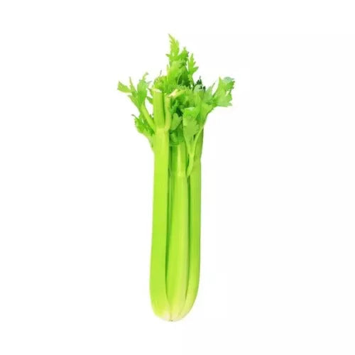 20 Celery Vegetable Seeds For Planting | www.seedsplantworld.com