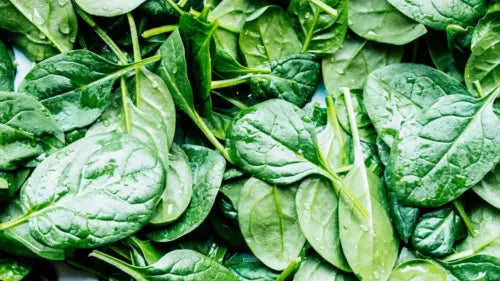 10 Spinach Vegetable Seeds For Planting | www.seedsplantworld.com