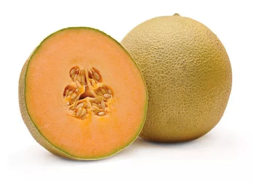 5 Cantaloupe Melon Fruit Seeds For Planting | www.seedsplantworld.com