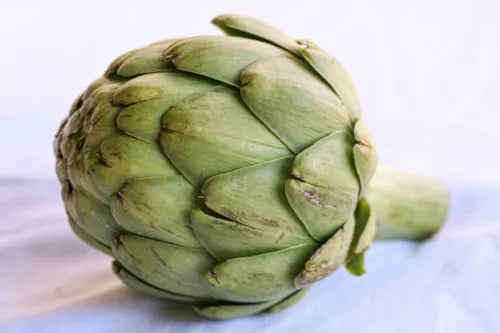 5 Artichoke Vegetable Seeds For Planting | www.seedsplantworld.com