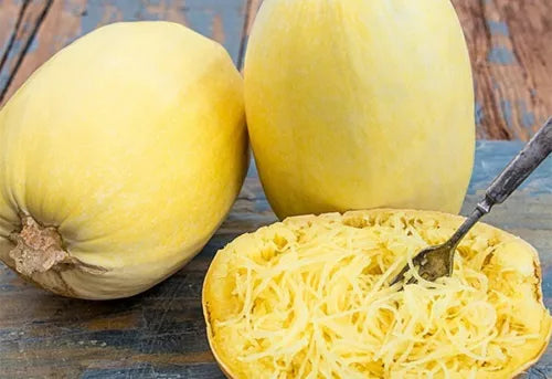 5 Spaghetti Squash Vegetable Seeds For Planting | www.seedsplantworld.com