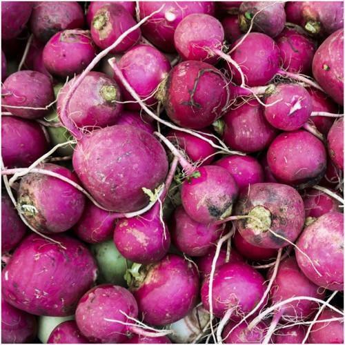 200 Ct Purple Plum Radish Garden Heirloom Vegetable Seeds | www.seedsplantworld.com