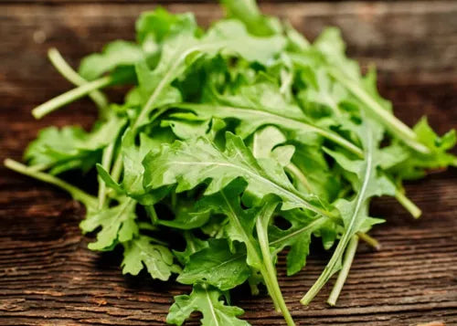 15 Arugula Lettuce Vegetable Seeds For Planting | www.seedsplantworld.com