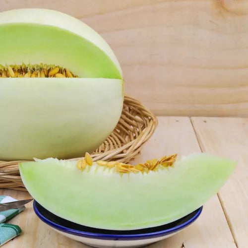 5 Honeydew Melon Fruit Seeds For Planting | www.seedsplantworld.com