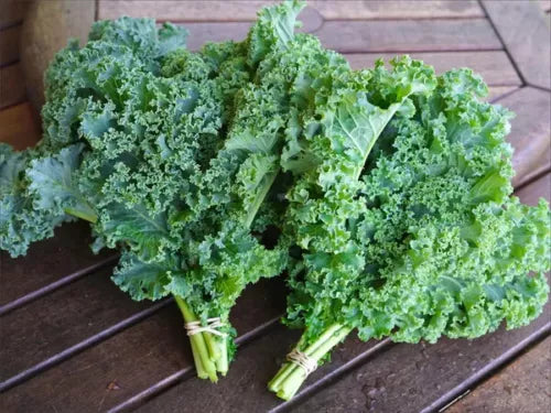 15 Kale Vegetable Seeds For Planting | www.seedsplantworld.com