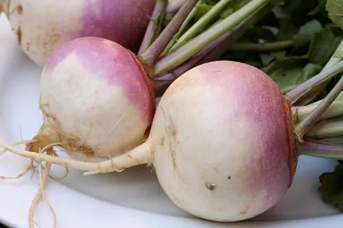 20 Turnip Vegetable Seeds For Planting | www.seedsplantworld.com