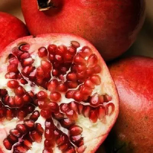 25 Pomegranate Fruit Tree Punica Granatum Red Seeds | www.seedsplantworld.com