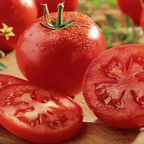 10 Celebrity Tomato Seeds (F1 Hybrid) Non-GMO Vegetable Seeds | www.seedsplantworld.com