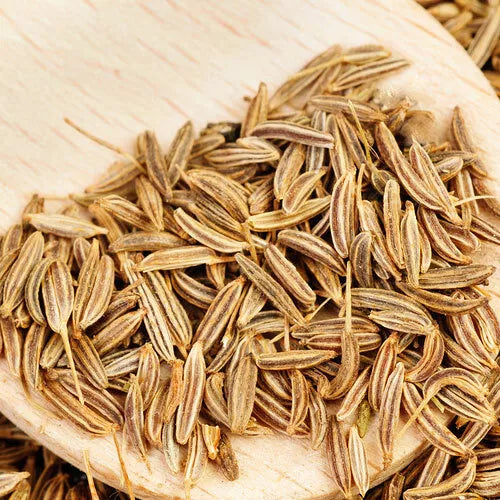 250 Cumin Seeds Heirloom Non-GMO Herb Seeds | www.seedsplantworld.com