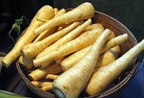 1000 All American Parsnip Pastinaca Sativa White Root Vegetable Seeds | www.seedsplantworld.com