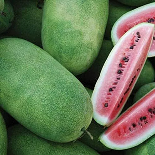 20 Charleston Grey Watermelon Seeds Non-GMO Fruit Seeds | www.seedsplantworld.com