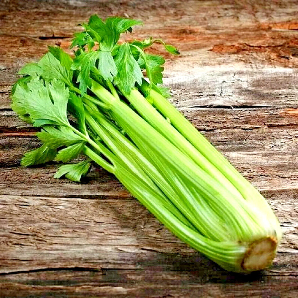 1000 Tall Celery Vegetable Seeds | www.seedsplantworld.com