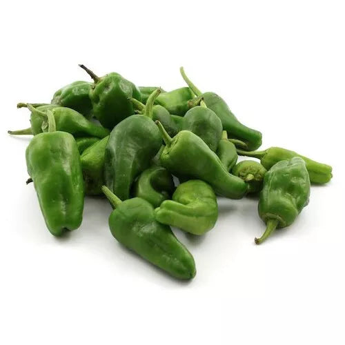 10 Padron Pepper Seeds Heirloom Non-GMO Vegetable Seeds | www.seedsplantworld.com