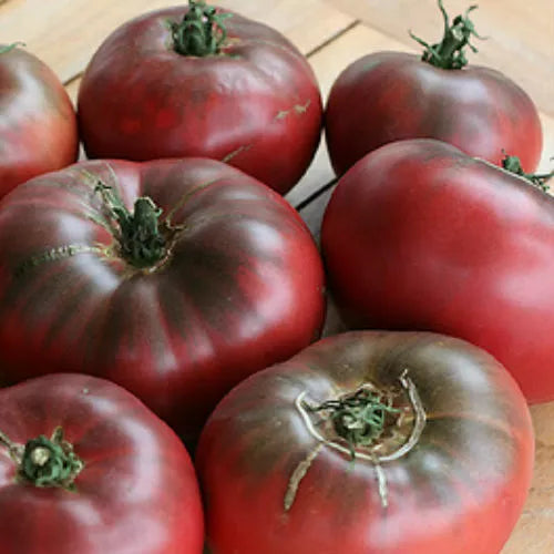 30 Cherokee Purple Tomato Seeds Non-GMO Vegetable Seeds | www.seedsplantworld.com