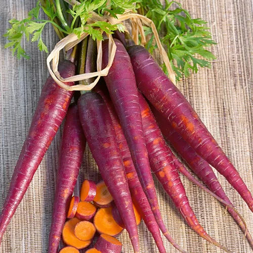 300 Cosmic Purple Carrot Seeds Non-GMO Vegetable Seeds | www.seedsplantworld.com