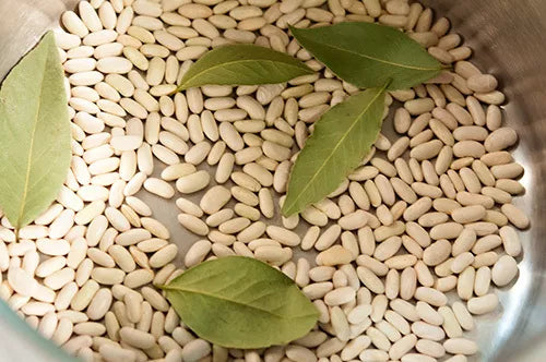 30 Cannellini Bean Seeds White Italian Kidney Phaseolus Vulgaris Vegetable | www.seedsplantworld.com