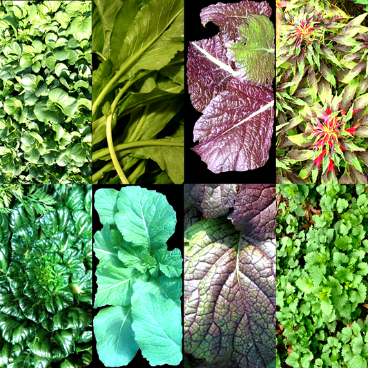 1000 Asian Leafy Mix Vegetable Seeds | www.seedsplantworld.com