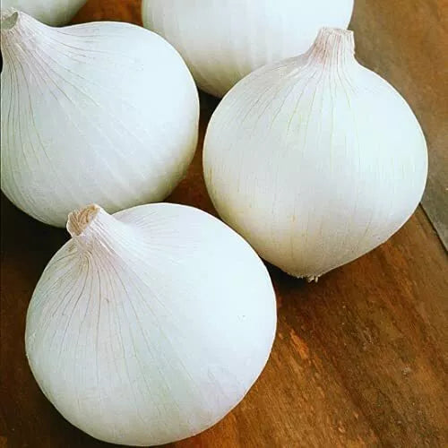 200 White Sweet Spanish Onion Seeds Non-GMO Vegetable Seeds | www.seedsplantworld.com