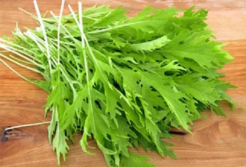 1000 Green Mizuna Mustard Japanese Greens Brassica Juncea Herb Vegetable Seeds | www.seedsplantworld.com