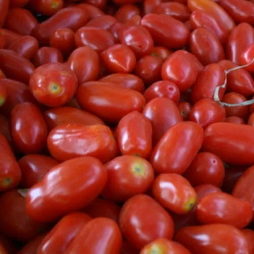 30 San Marzano Short Vine Tomato Seeds (Indeterminate) Non-GMO Vegetable Seeds | www.seedsplantworld.com