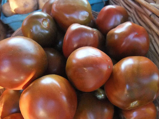 20 Tomato Black Prince Rare Heirloom Vegetable Seeds | www.seedsplantworld.com