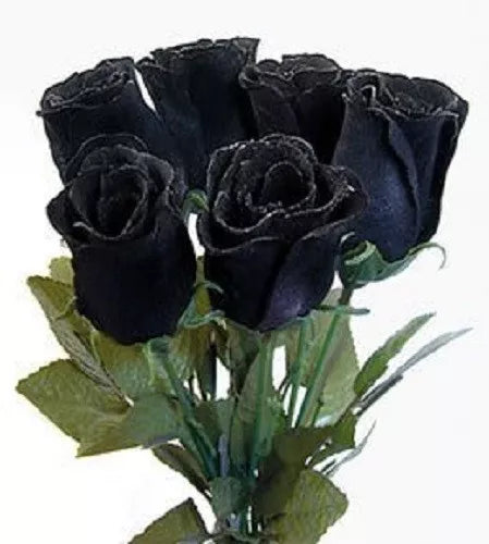 5 Black Rose Rosa Bush Shrub Perennial Flower Seeds | www.seedsplantworld.com