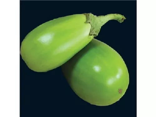 25 Applegreen Eggplant Green Fruit / Vegetable Solanum Melongena Seeds | www.seedsplantworld.com