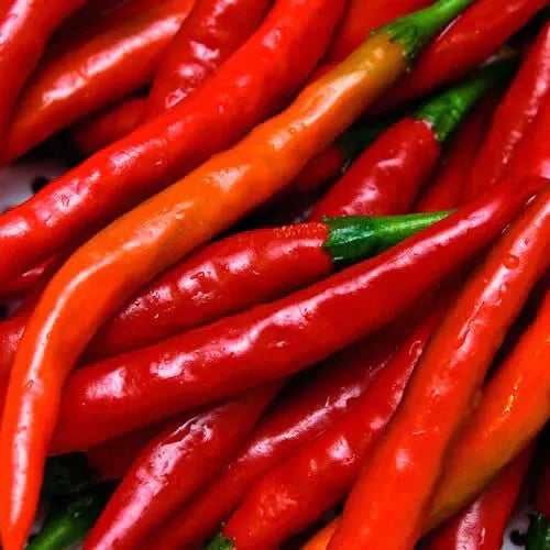 30 Cayenne Long Thin Pepper Seeds Heirloom Non-GMO Vegetable Seed | www.seedsplantworld.com