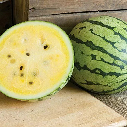 5 Yellow Petite Watermelon Seeds Non-GMO Fruit Seeds | www.seedsplantworld.com