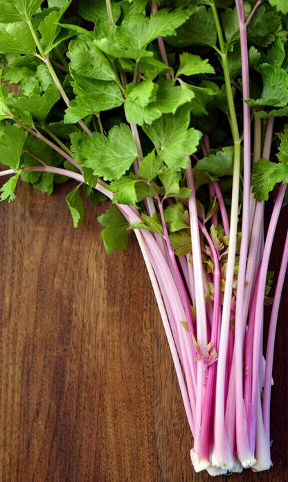 200 Chinese Pink Celery Vegetable Seeds | www.seedsplantworld.com