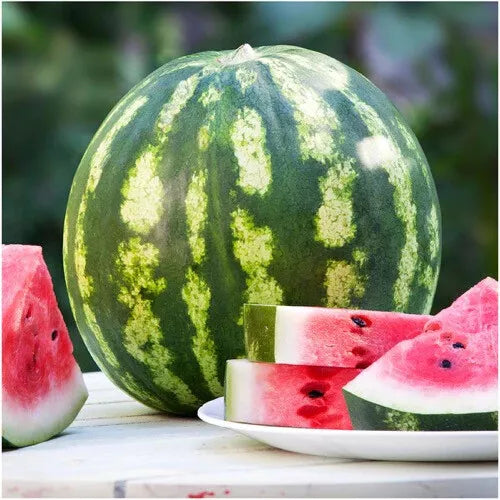 25 Crimson Sweet Watermelon Seeds Heirloom Non-GMO Fruit Seeds | www.seedsplantworld.com