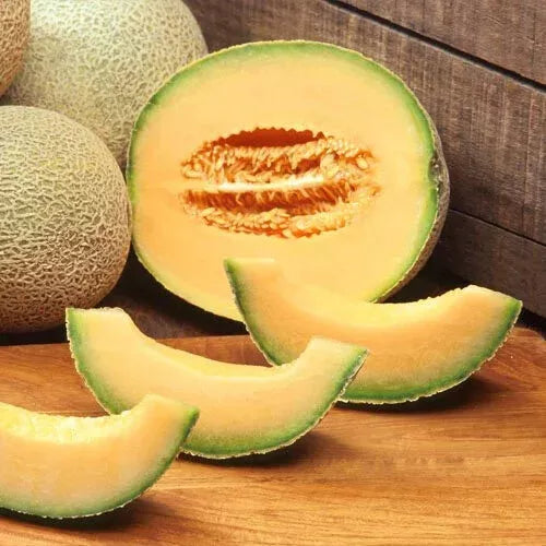 20 Edisto 47 Cantaloupe Seeds Non-GMO Fruit Seeds | www.seedsplantworld.com