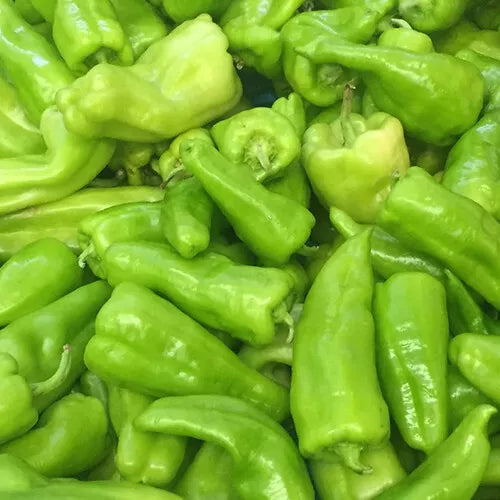 30 Cubanelle Pepper Seeds Non-GMO Vegetable Seeds | www.seedsplantworld.com